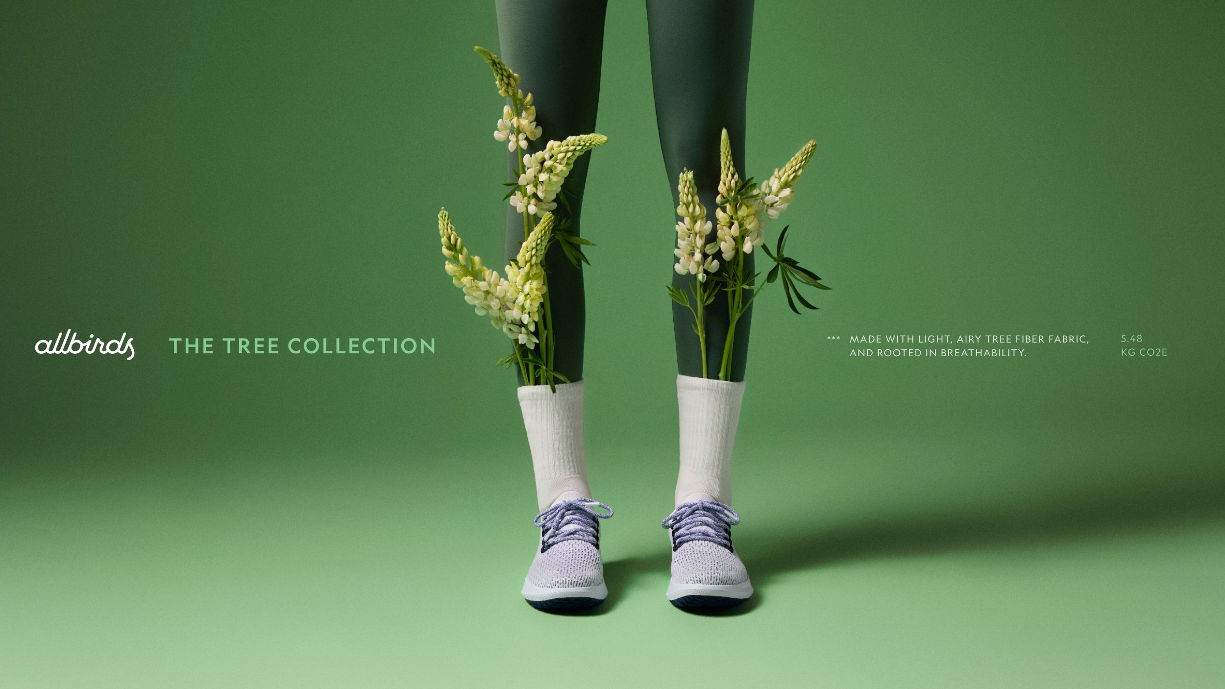 Allbirds E5.jpg