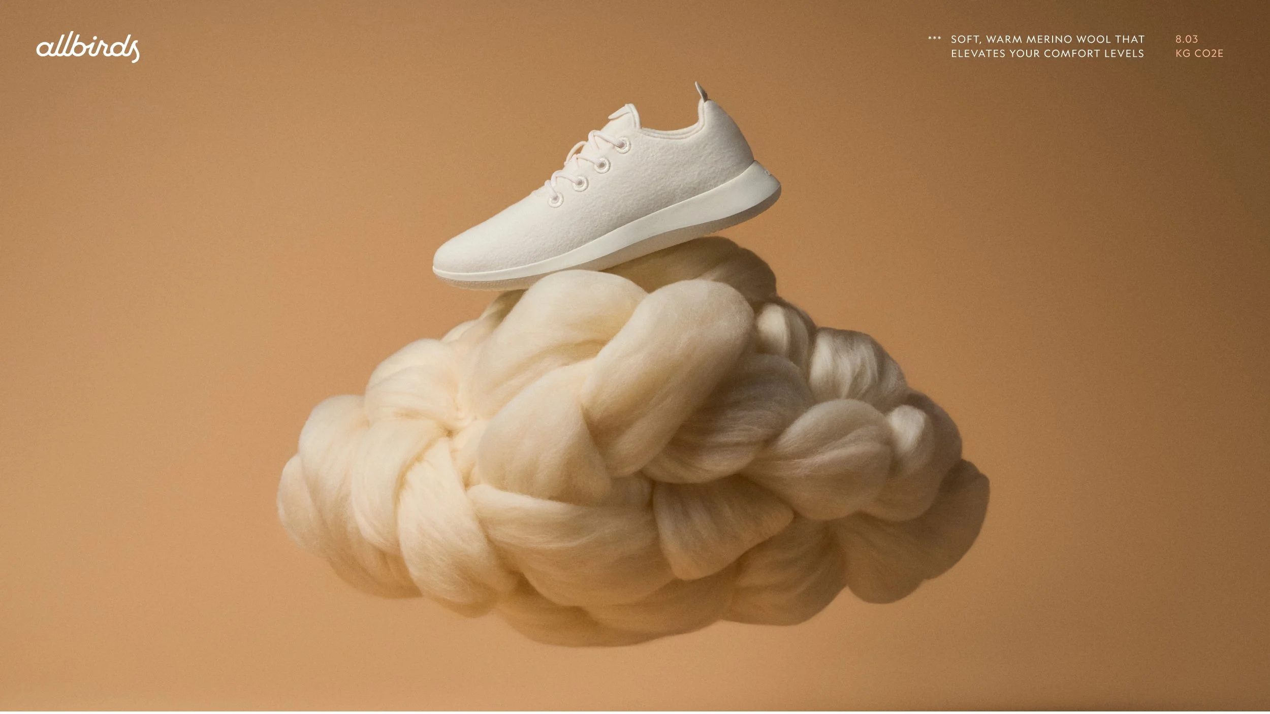 Allbirds C2.jpg
