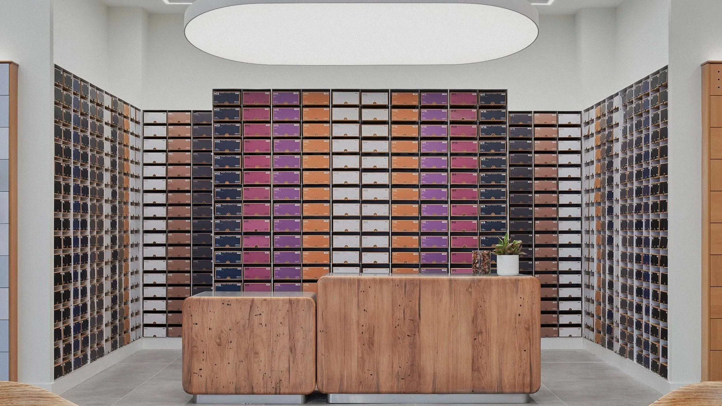 Allbirds C13.jpg