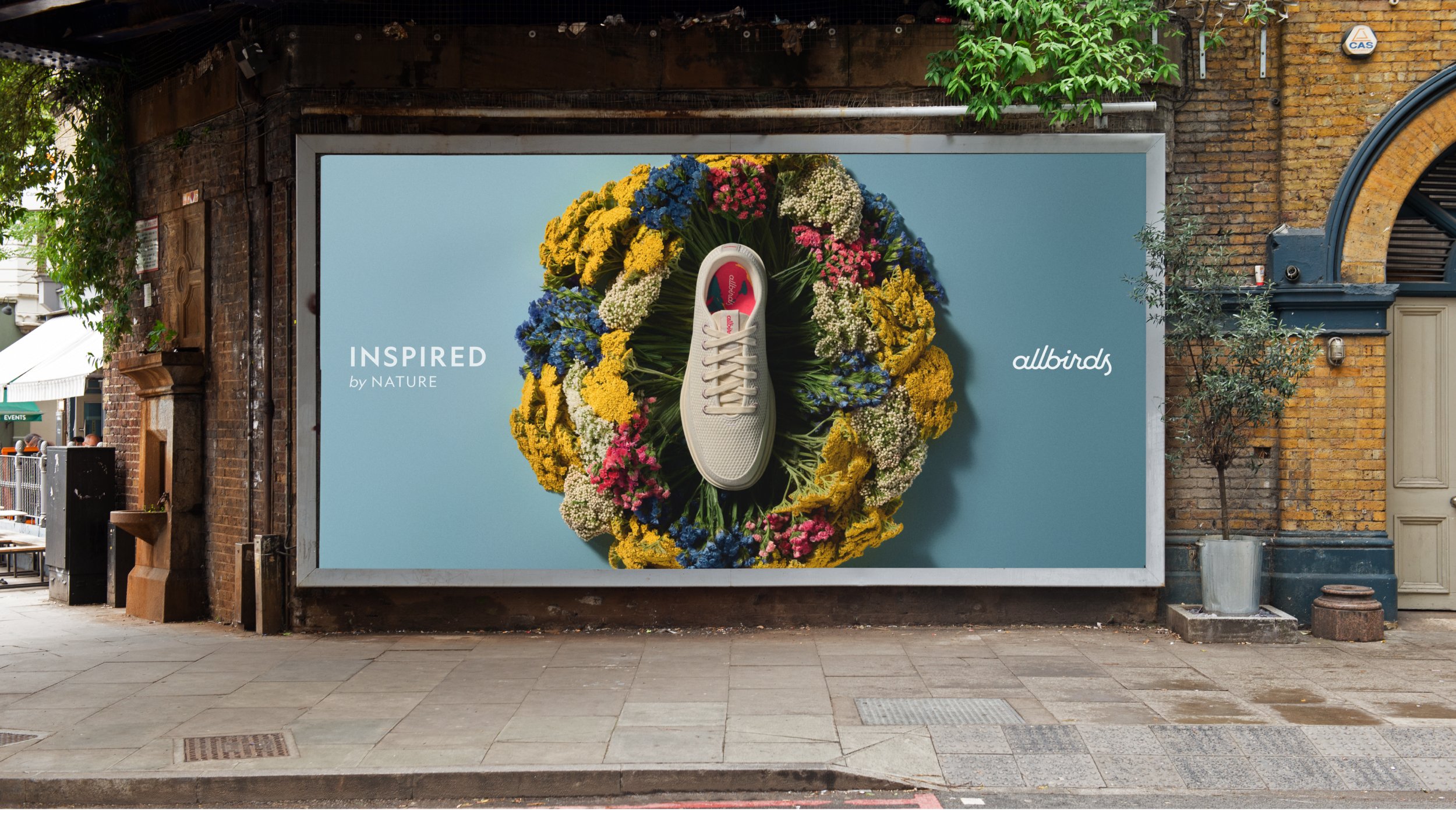 Allbirds 12.jpg