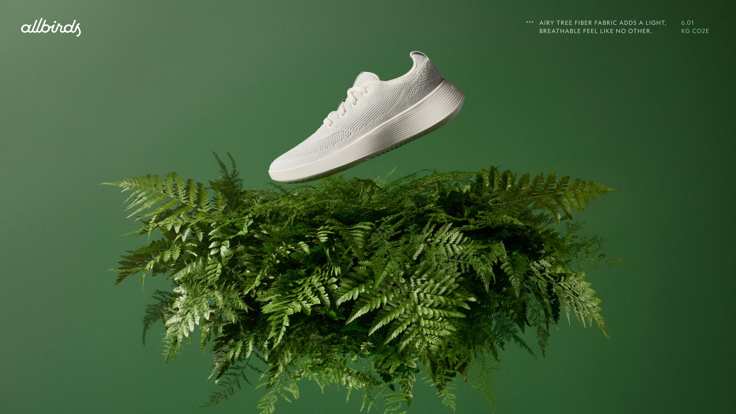 Allbirds 7.jpg