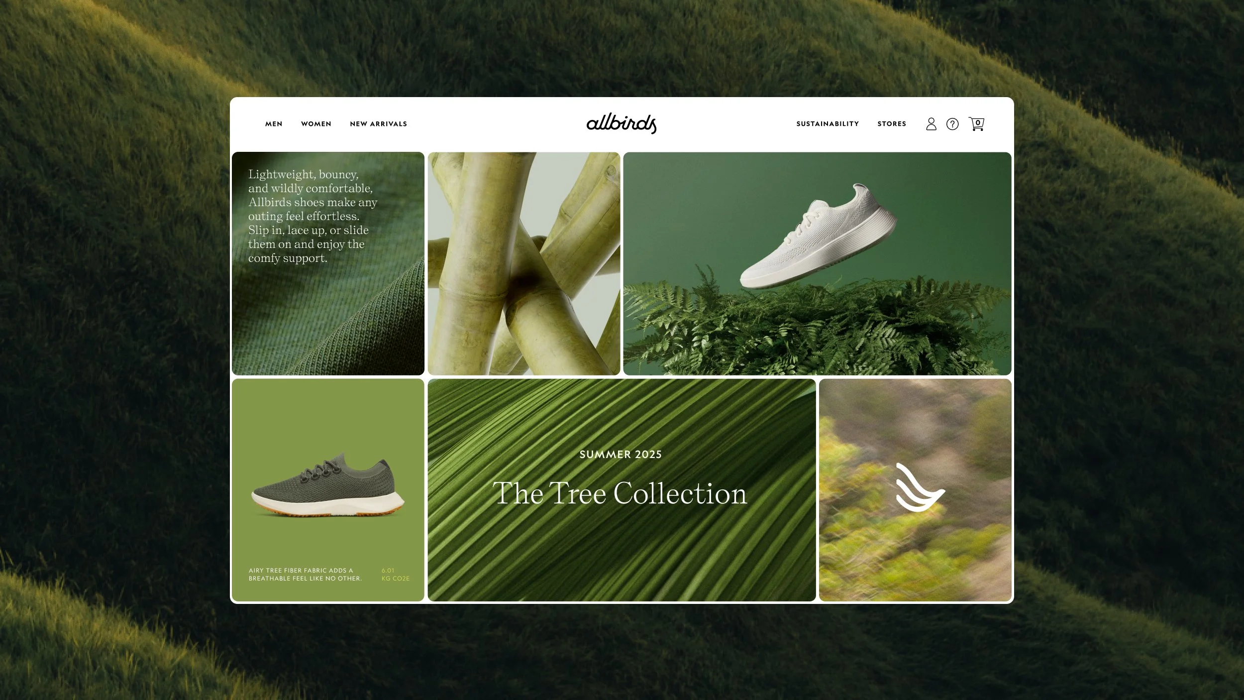 Allbirds C9.jpg