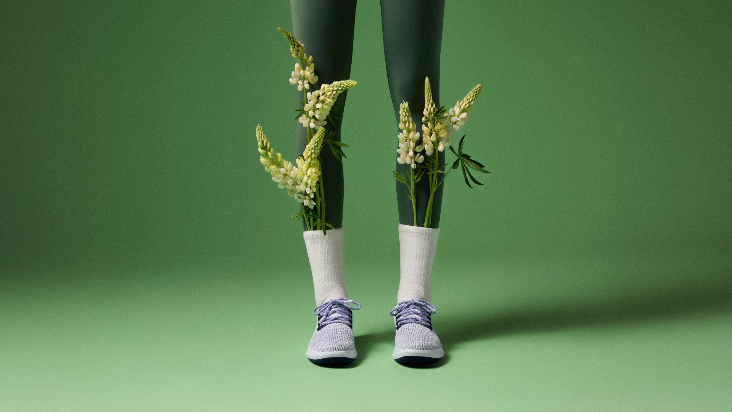 Allbirds intro 3.jpg