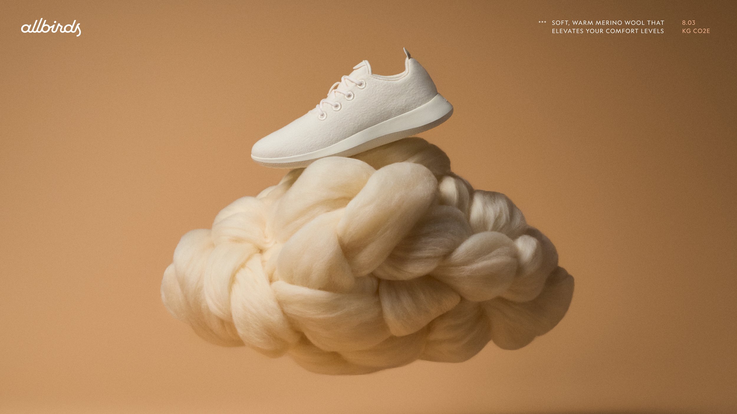 Allbirds 2.jpg
