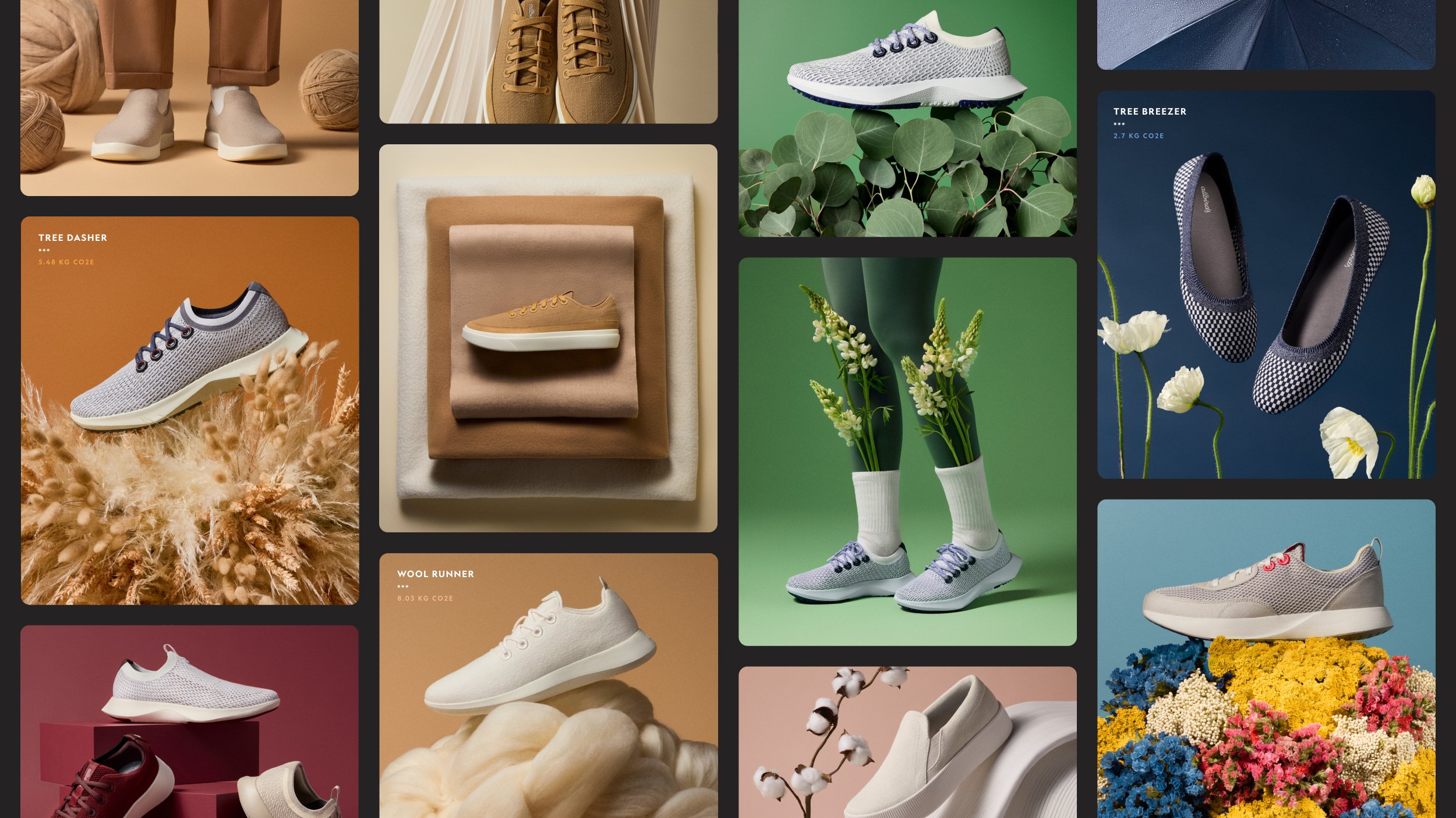 Allbirds 6B.jpg