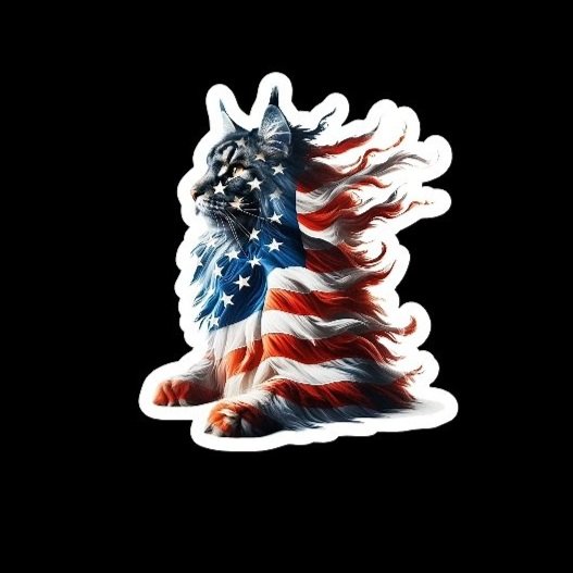 patriotic%2BMaine%2Bcoon.jpg