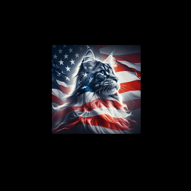 patriotic cat.png