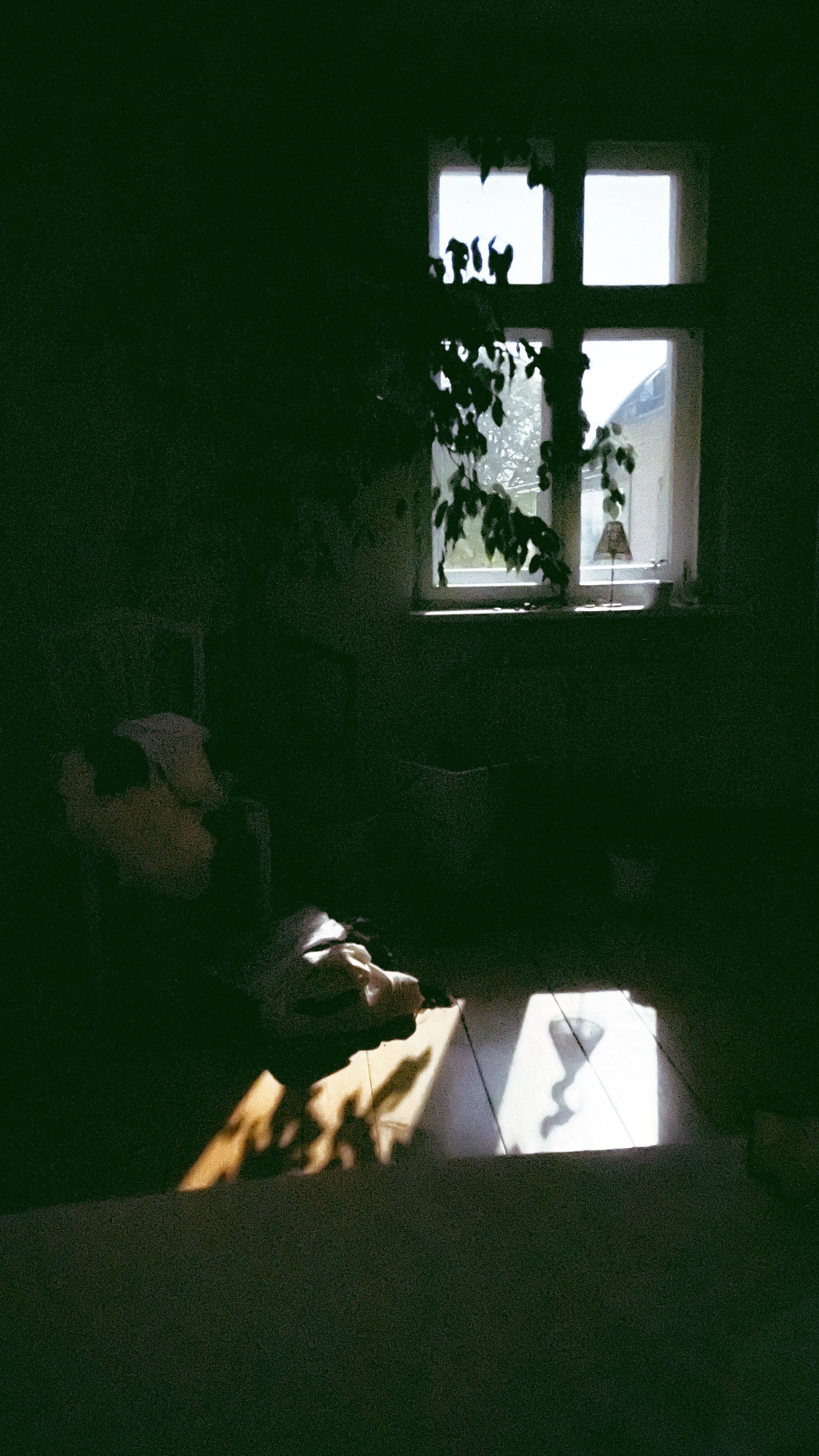 Mood Image-4945-2.jpg