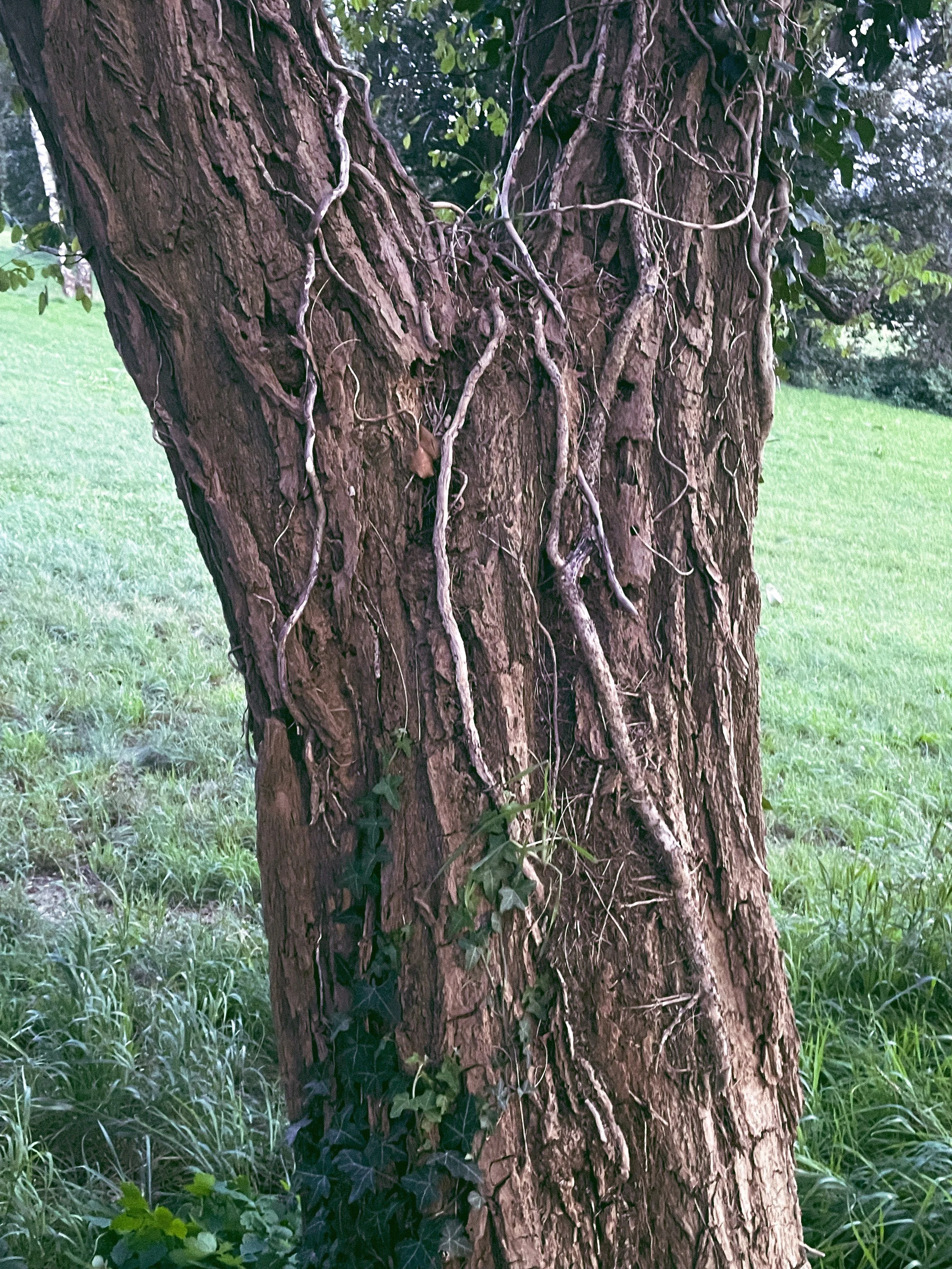 Mood Image-2619-2.jpg