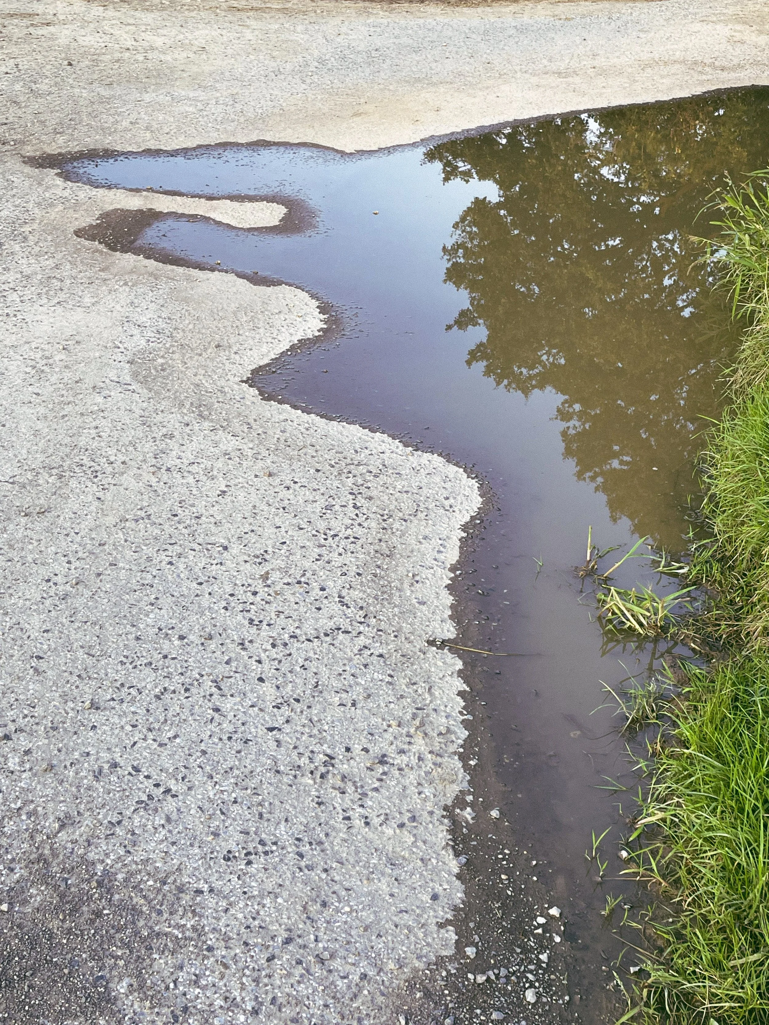 Mood Image-2533-2.jpg