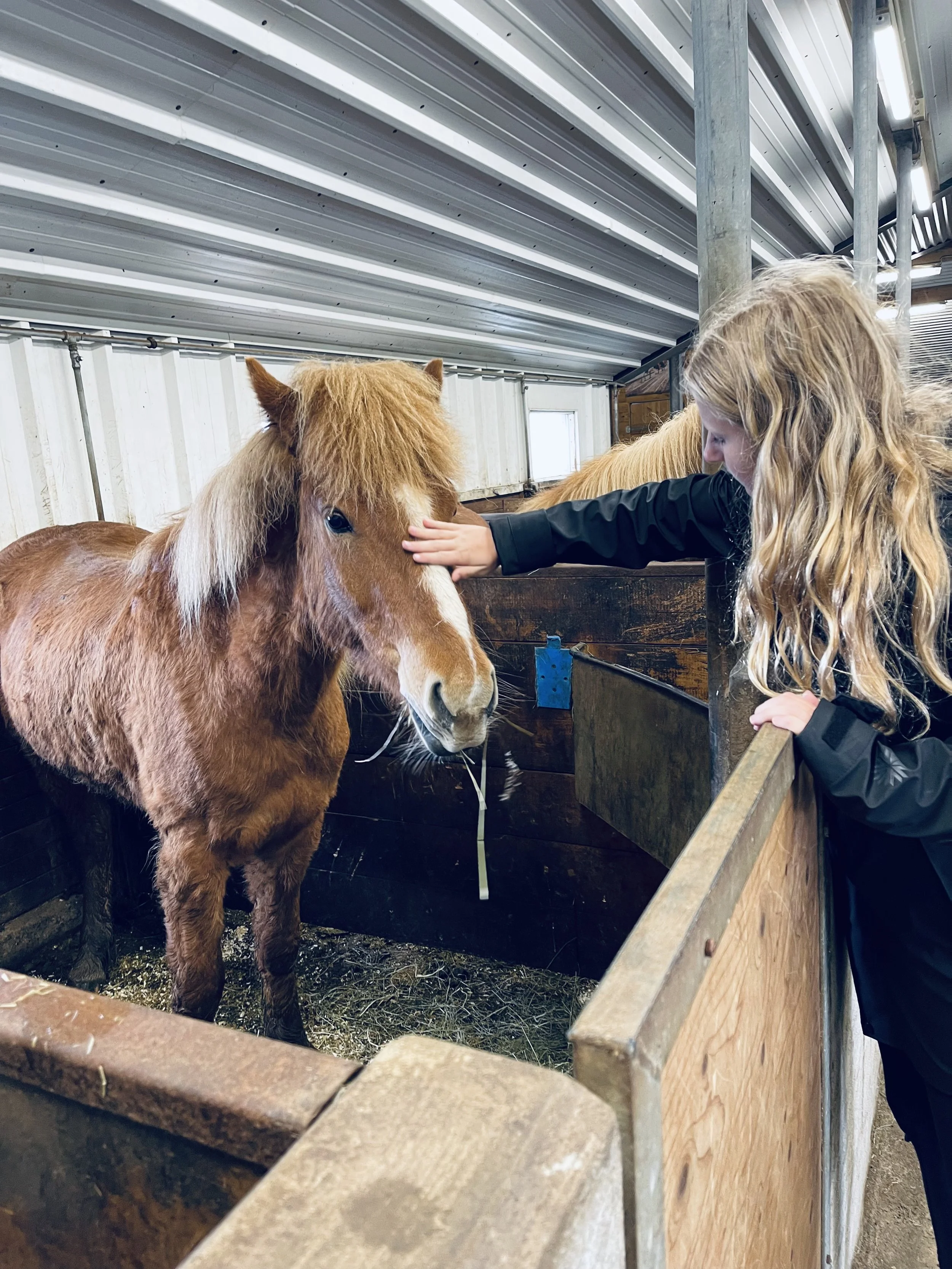 Jeanine’s daughter petting an Icelandic horse inside a stable during their trip
