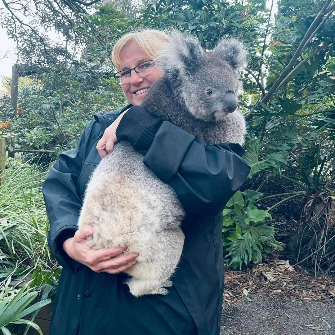 A smiling woman Jeanine holding a fluffy grey koala during a personalized wildlife encounter in Australia, a signature experience by Lavishly Travel.