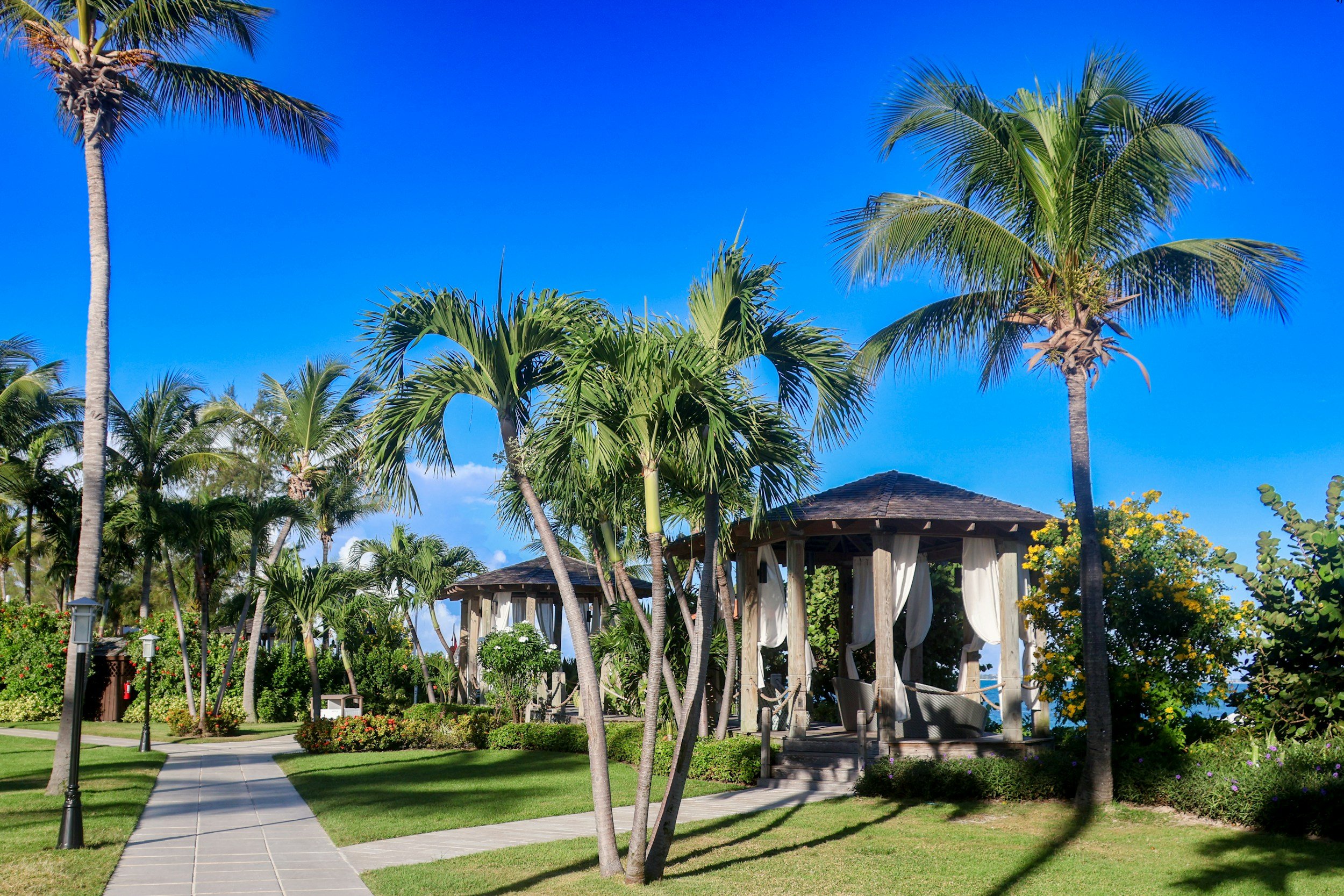Luxury Caribbean beach with palm trees, private bungalows, and crystal-clear turquoise water
