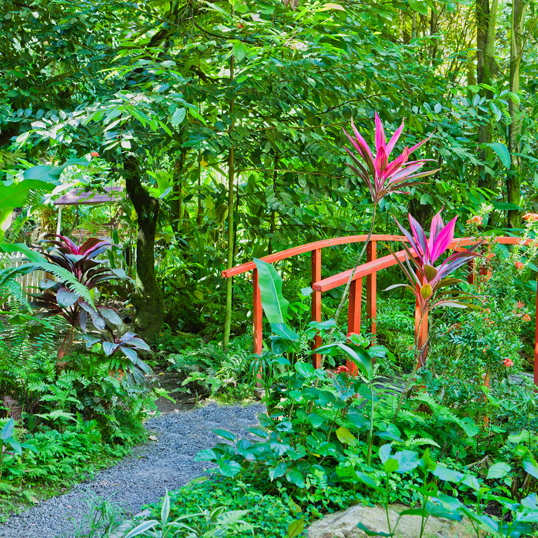 st lucia 2.png