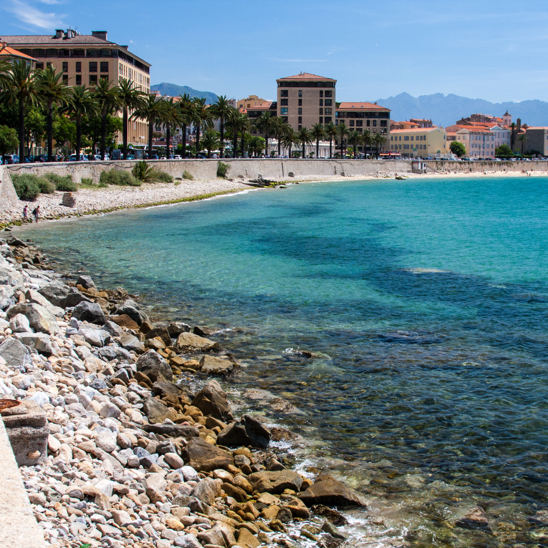 A scenic pebble beach lined with palm trees and coastal buildings along the crystal-clear turquoise shoreline of Ajaccio, Corsica.