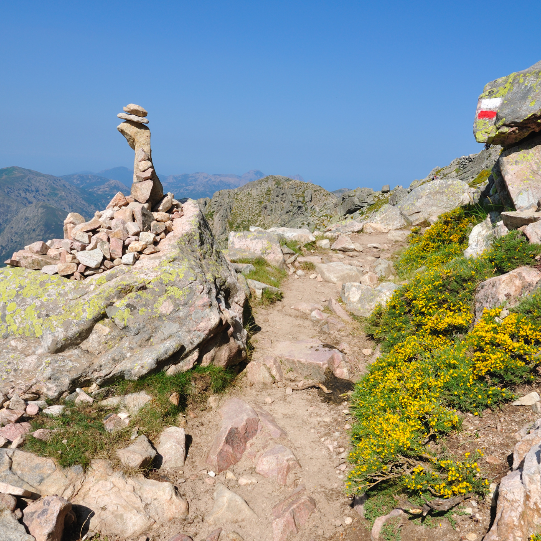 A stone cairn marking a narrow, rocky dirt hiking trail surrounded by bright yellow wildflowers and distant mountain peaks.