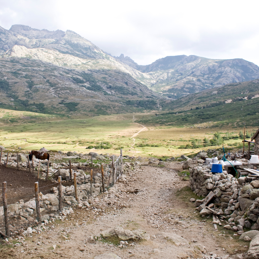 A rustic stone fence and dirt track looking out over a wide, sunlit green valley surrounded by massive rocky mountain ranges.