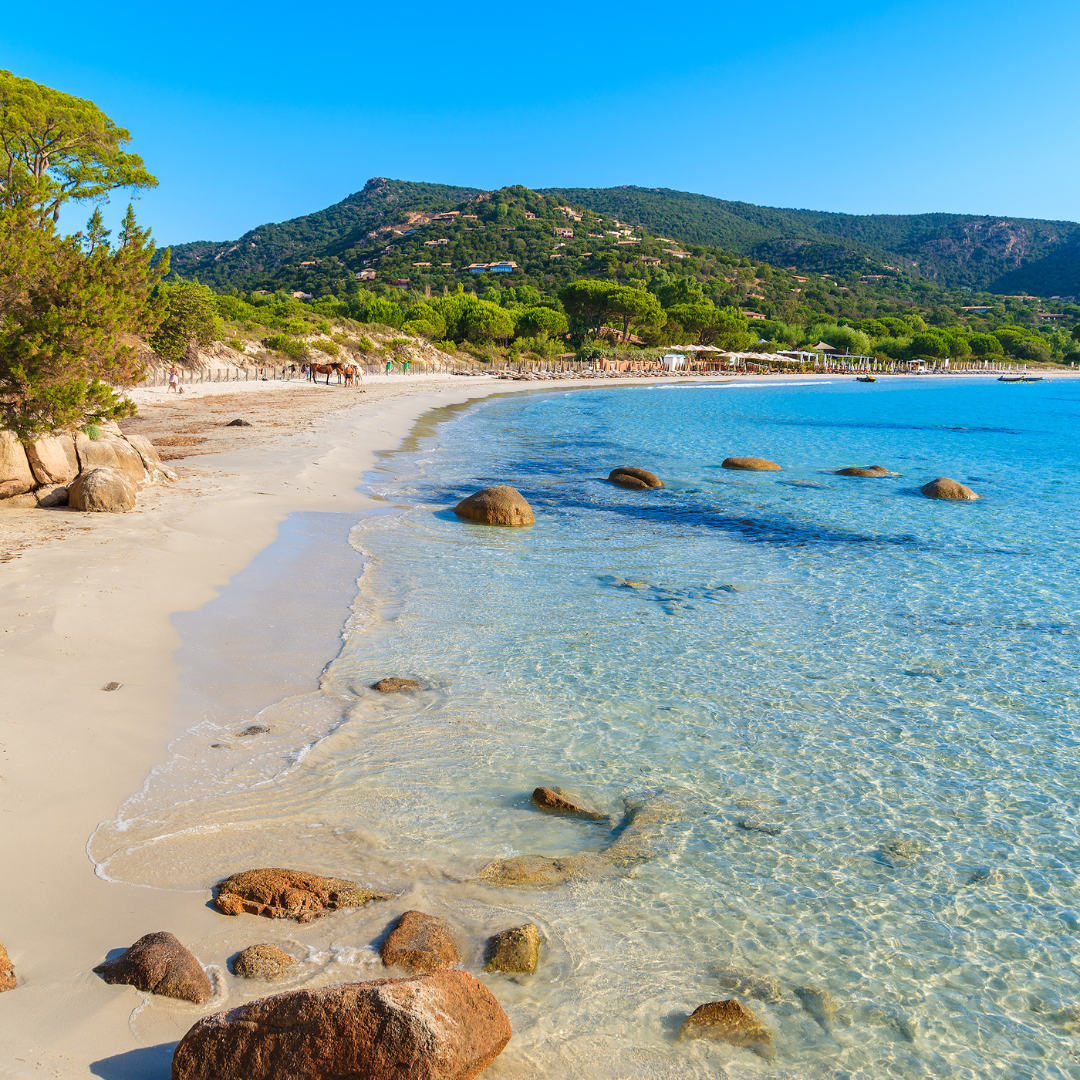 A tranquil white sand beach with smooth rocks in the shallow, transparent turquoise sea backed by green pine trees and hills.