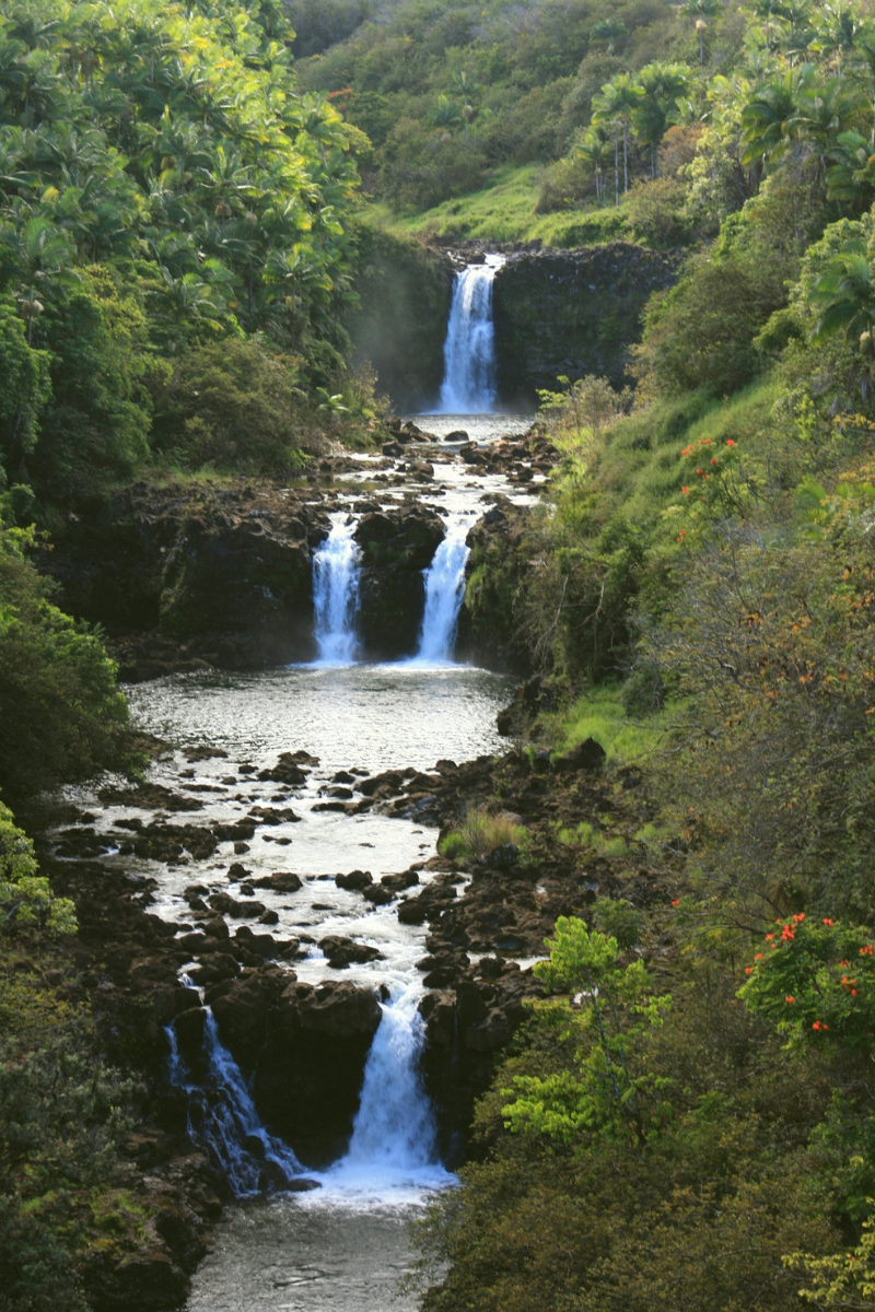 Tiered waterfalls flowing through a lush gorge near Hilo