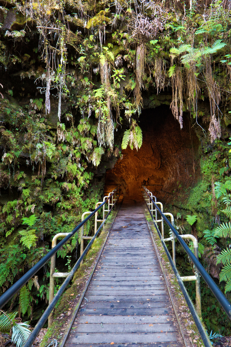 Walkway leading into a lava tube surrounded by ferns and tropical plants