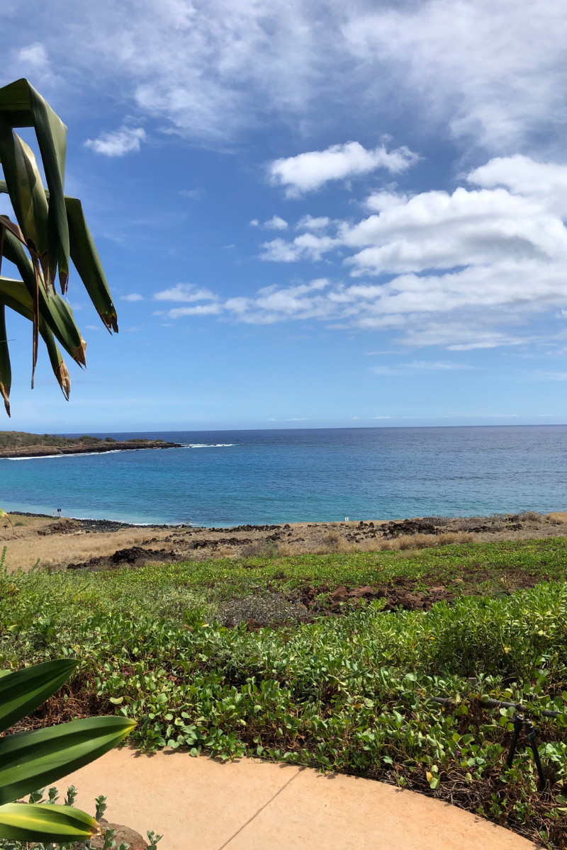 Ocean view across tropical gardens at Manele Bay on Lanai