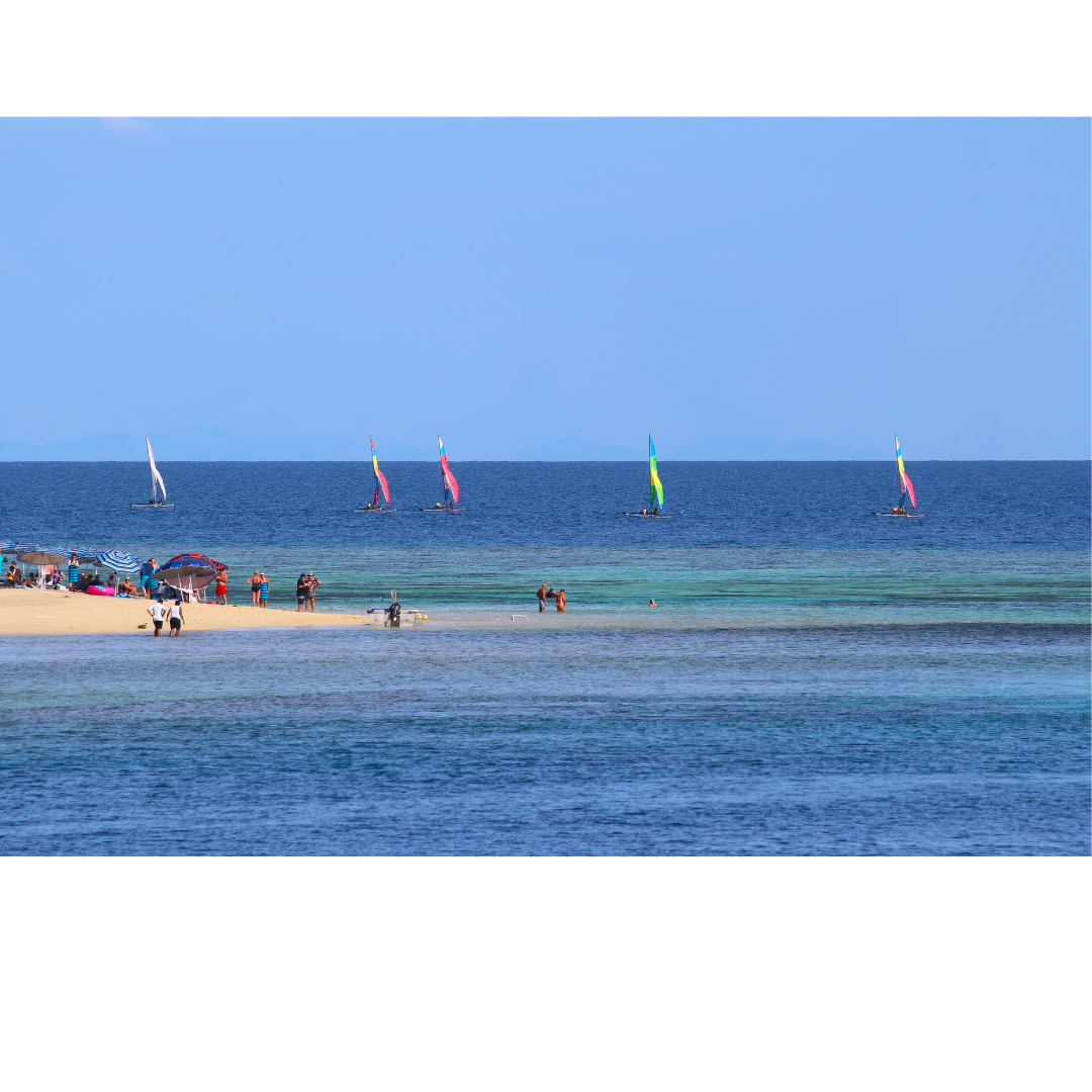 Colorful windsurfers sailing on turquoise ocean water near a crowded sandy beach with umbrellas.