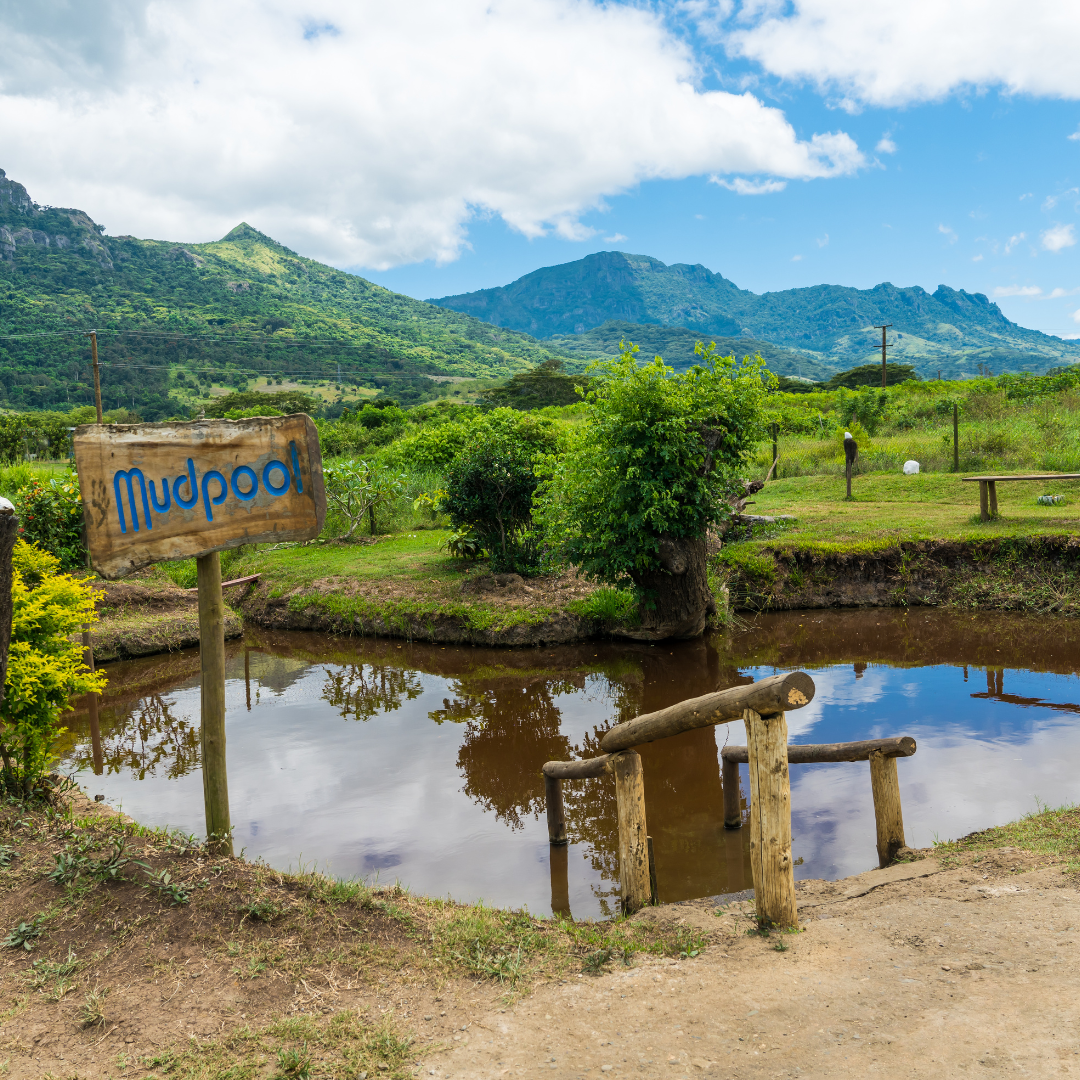 A natural outdoor thermal mud pool with a rustic wooden 'Mudpool' sign and steps, backed by beautiful green volcanic mountains.