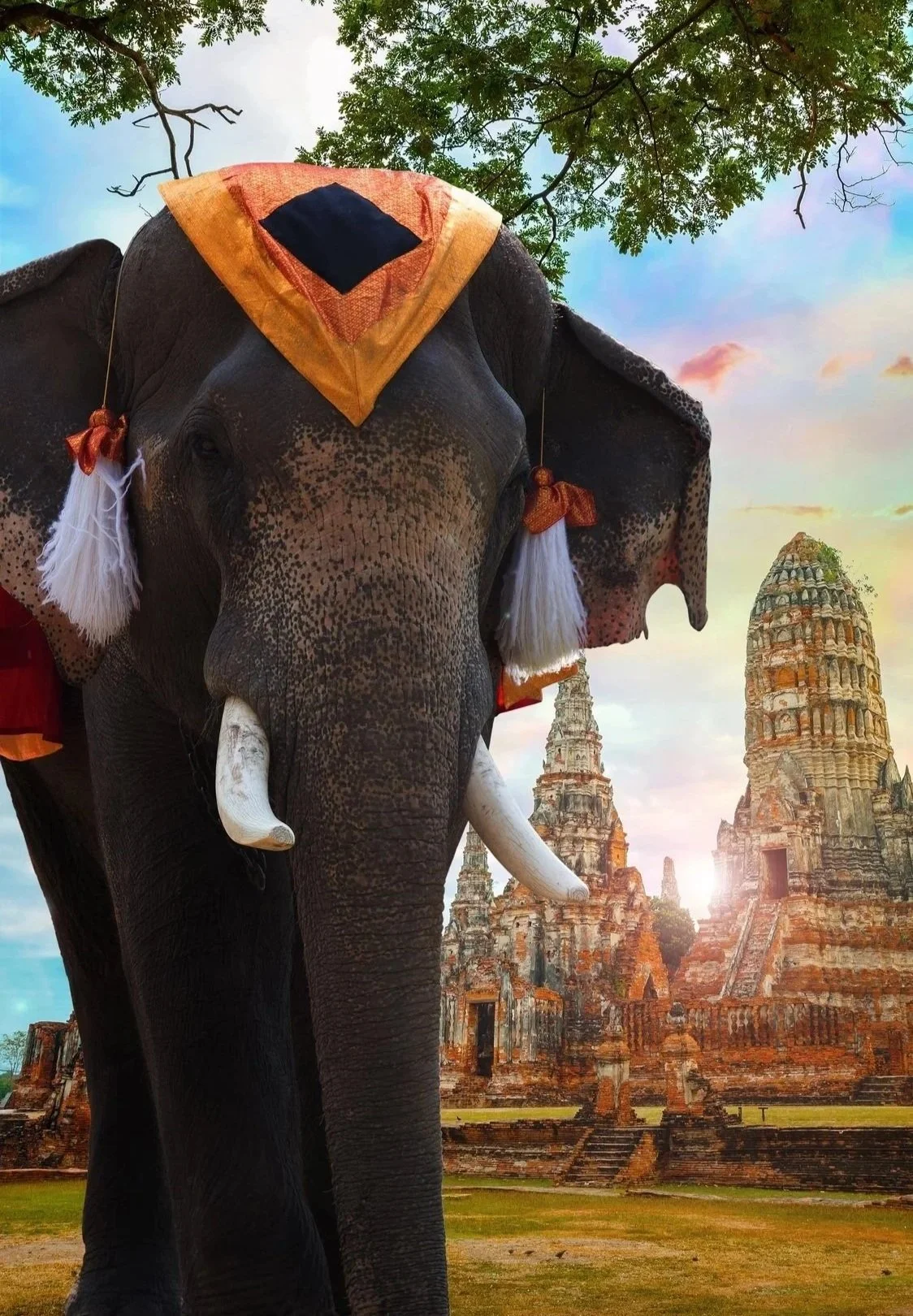 A decorated ceremonial elephant in the foreground with the ancient temple ruins of Ayutthaya at sunset, representing luxury heritage tours in Thailand.