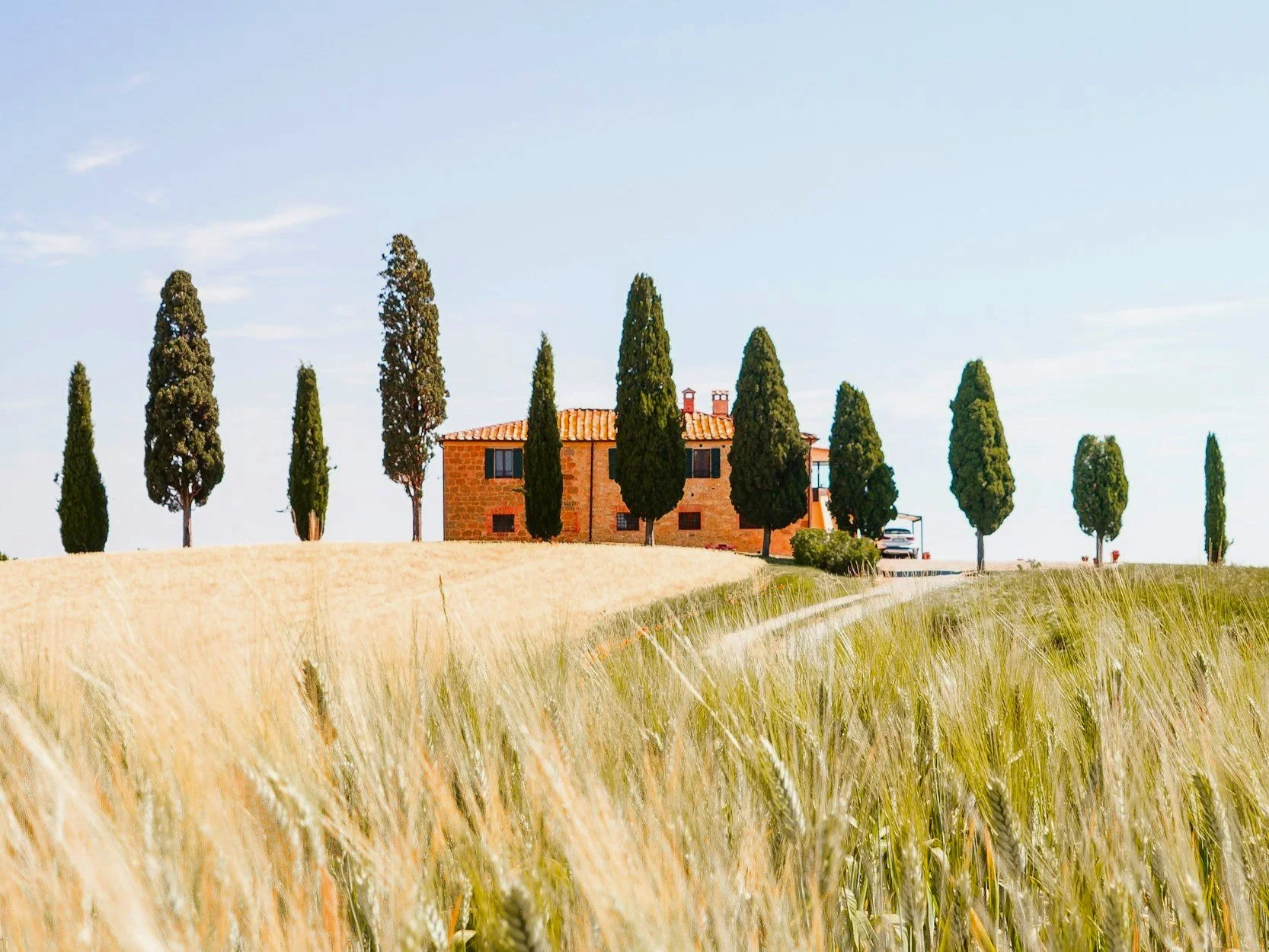 A traditional yellow villa in the Italian countryside surrounded by tall cypress trees and golden wheat fields. A serene setting for multi-generational family retreats and large group stays in Tuscany.