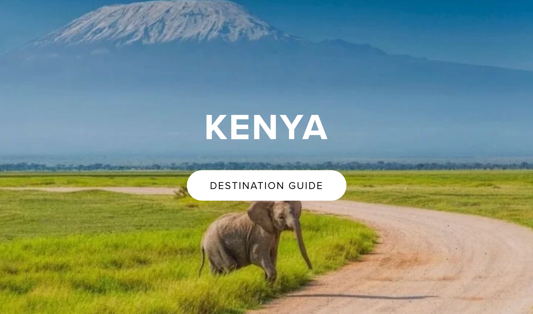 An elephant calf walking along a dirt path in the savannah with the snow-capped peak of Mount Kilimanjaro in the distance.