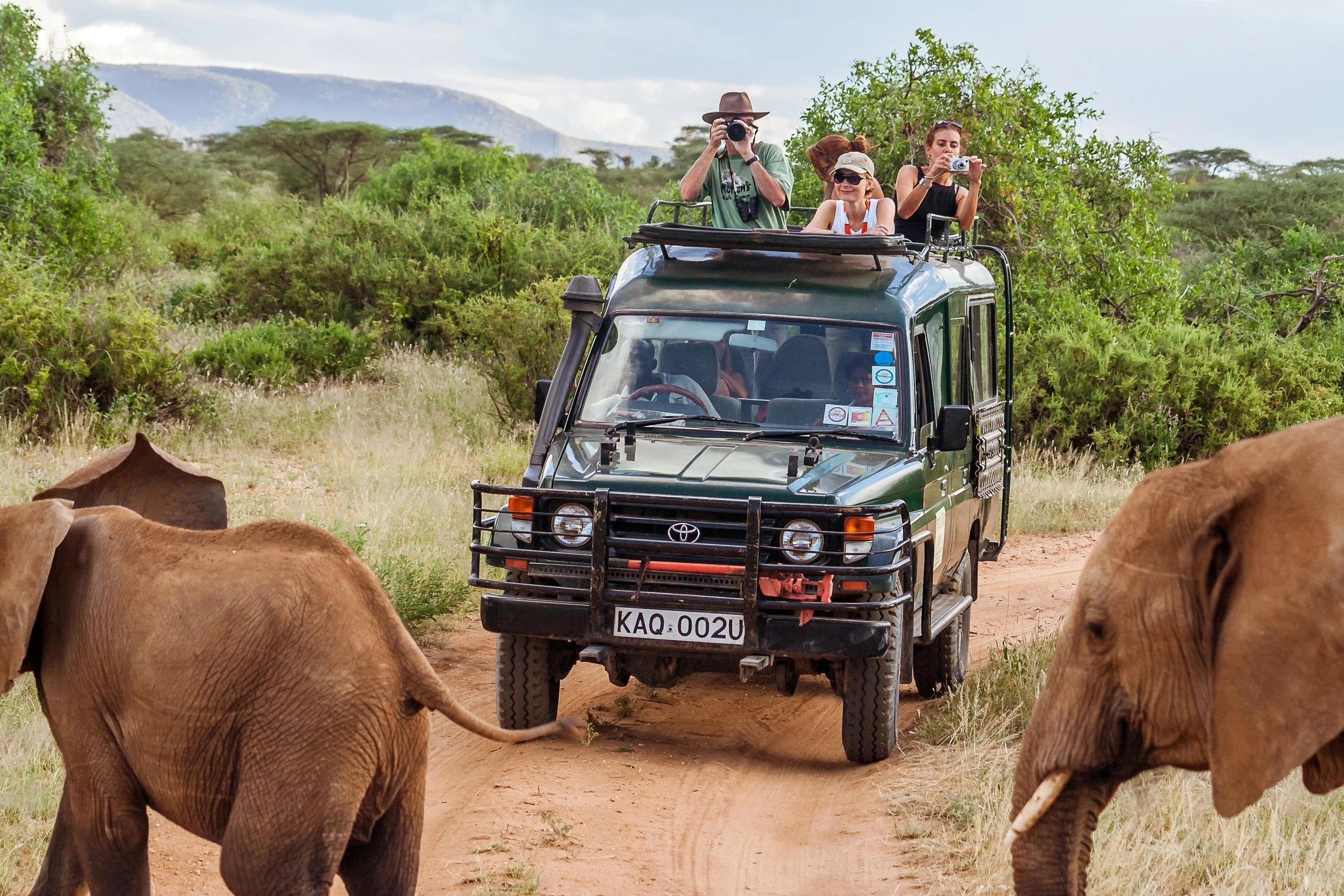 A group of travelers on a luxury safari jeep observing wildlife in the African savanna, illustrating a Couples Collective group travel experience