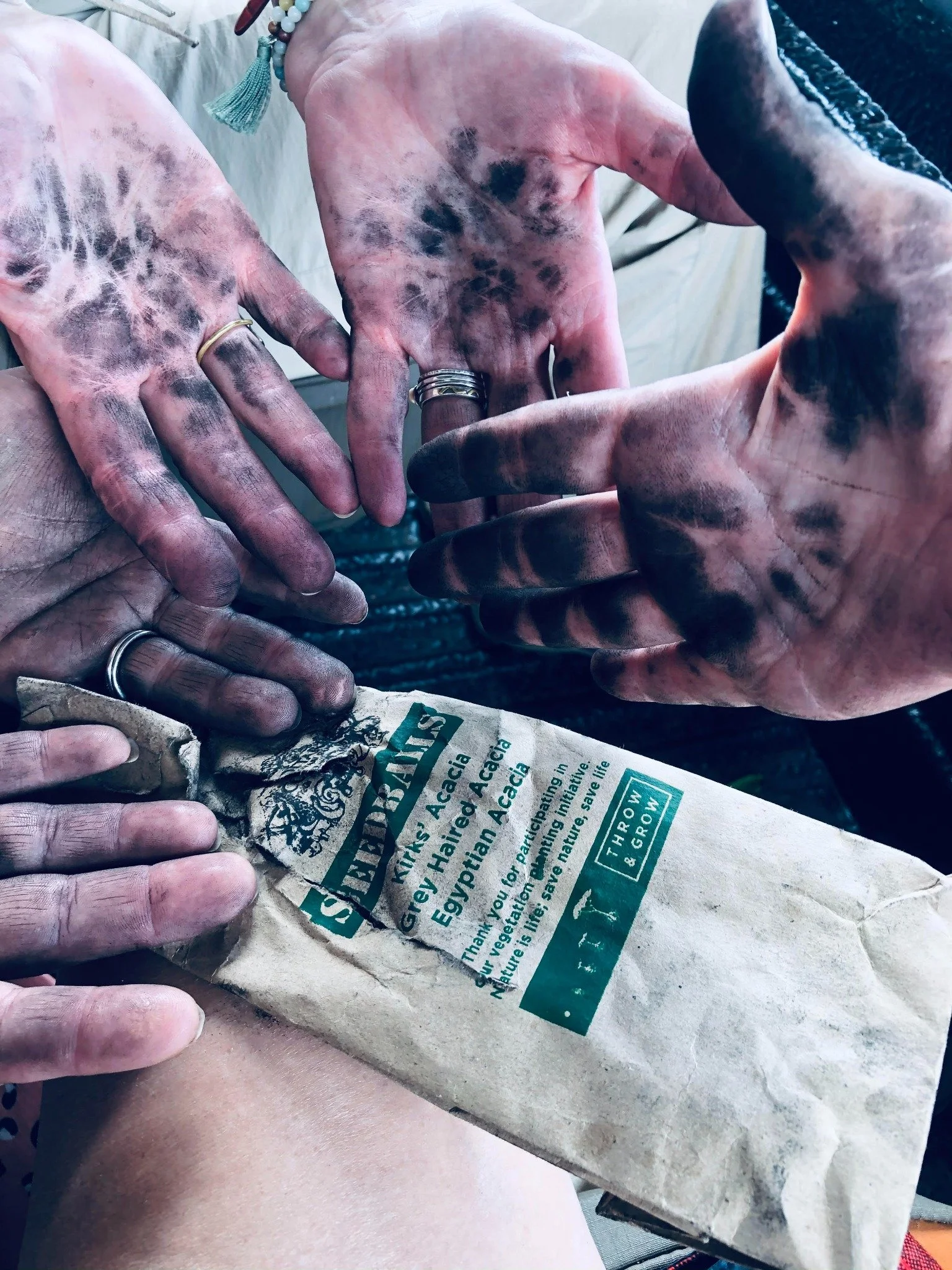 Participants display charcoal-covered hands beside an acacia seed packet during a community experience in Kenya.