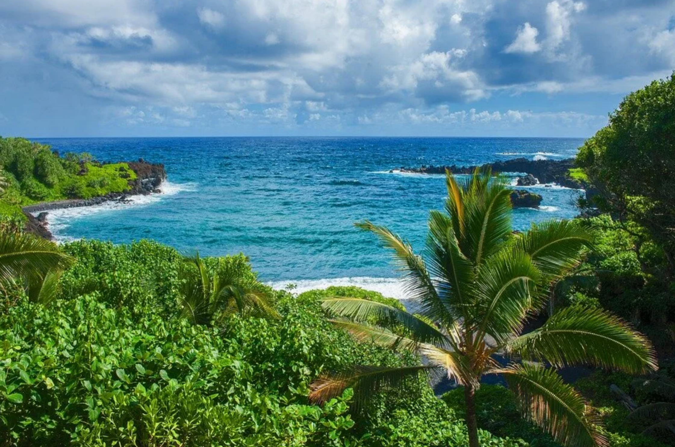 Elevated view through dense tropical green trees and palm leaves looking down at a dark volcanic rock beach cove with crashing ocean waves in Maui, Hawaii.