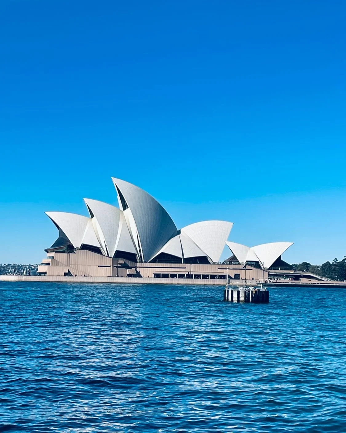 The iconic Sydney Opera House in Australia set against a bright blue sky and harbor. A world-famous landmark for family sightseeing tours and accessible cultural travel in Sydney.