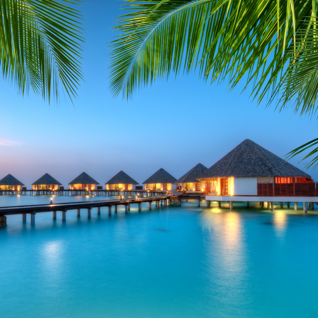 Overwater villas at dusk in the Maldives, framed by palm fronds