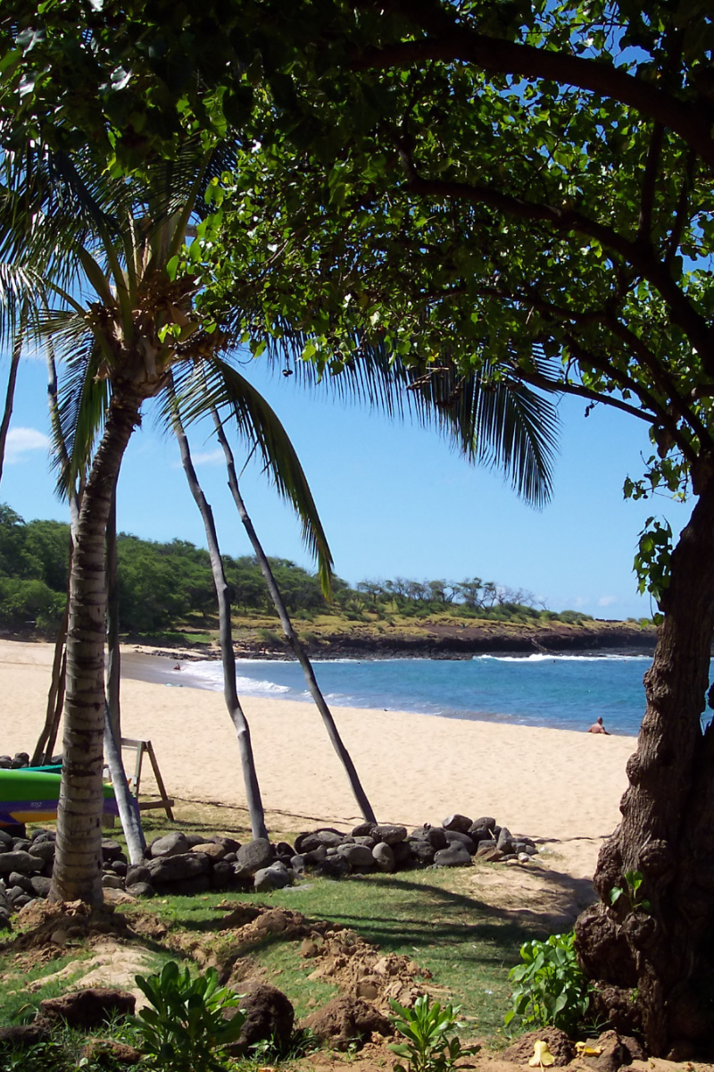Shaded view framed by palm trees and lush foliage looking out onto the golden sand and blue bay of Hulopoe Beach on Lanai.