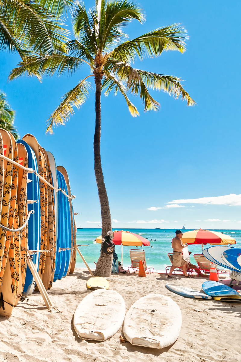 Colorful surfboards stacked against a tall coconut palm tree on the busy sands of Waikiki Beach in Oahu, Hawaii under a bright blue sky.
