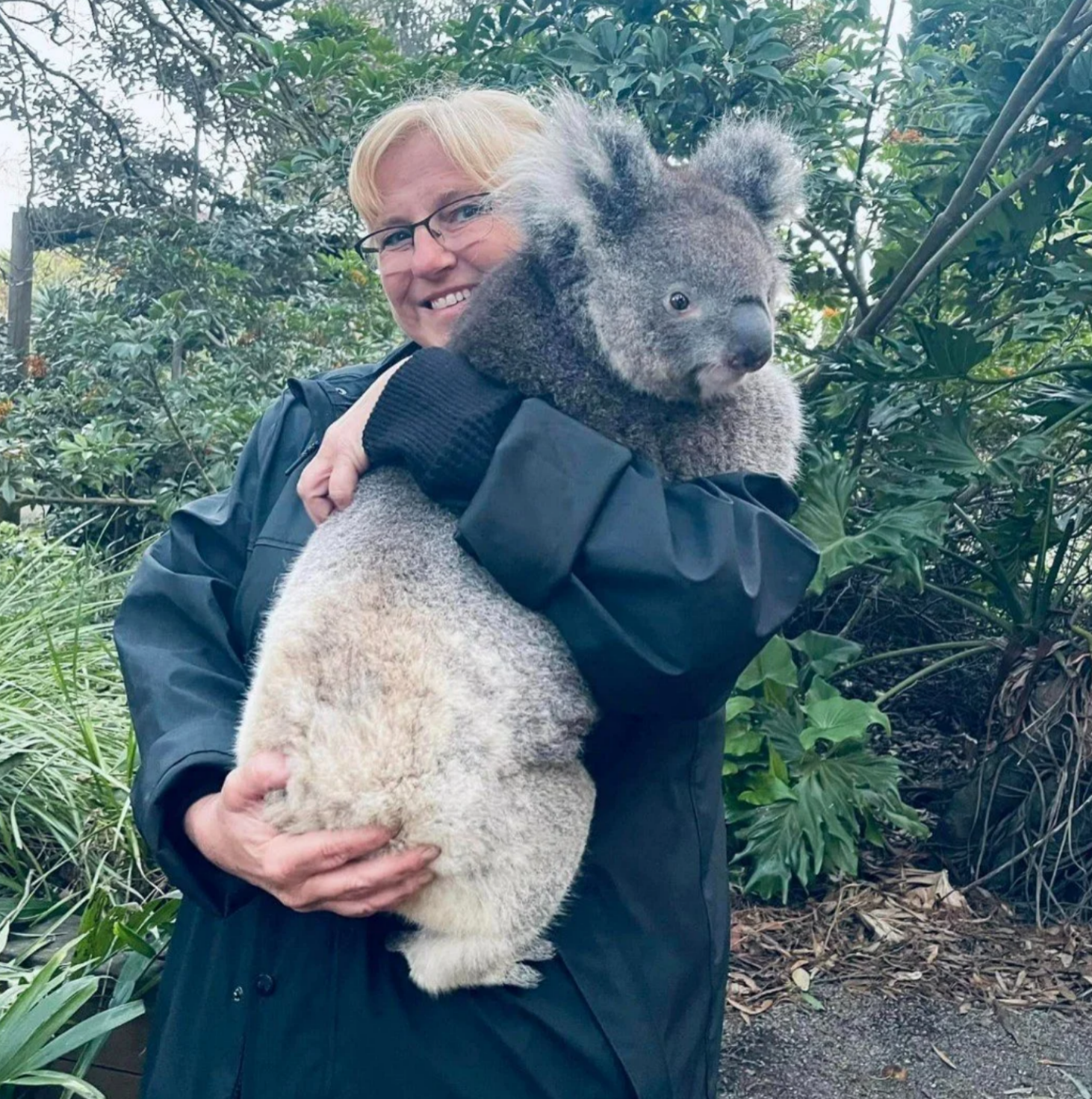 Jeanine fulfilling her dream, holding a Koala Kangaroo Island, Australia