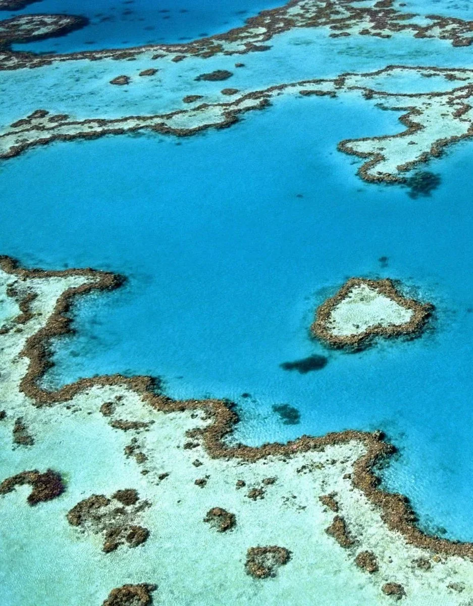 Aerial view of the famous Heart Reef, a natural heart-shaped coral formation in the turquoise waters of the Great Barrier Reef, Australia.