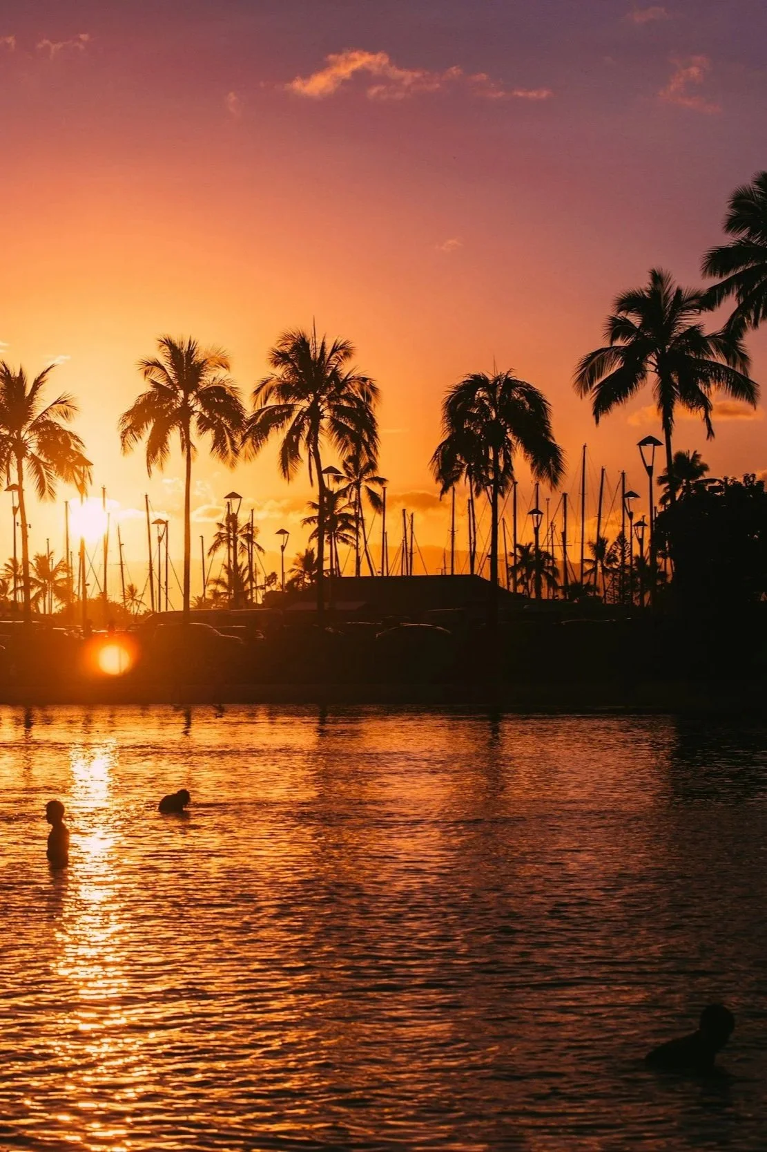 Golden sunset over palm trees and the ocean in Hawaii, capturing the beauty of a luxury Hawaiian vacation.