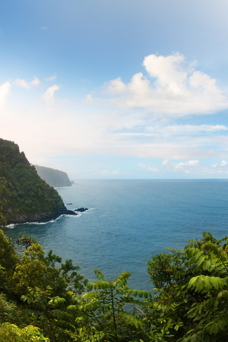 Lush coastal cliffs and blue ocean seen from a scenic overlook in Hawaii