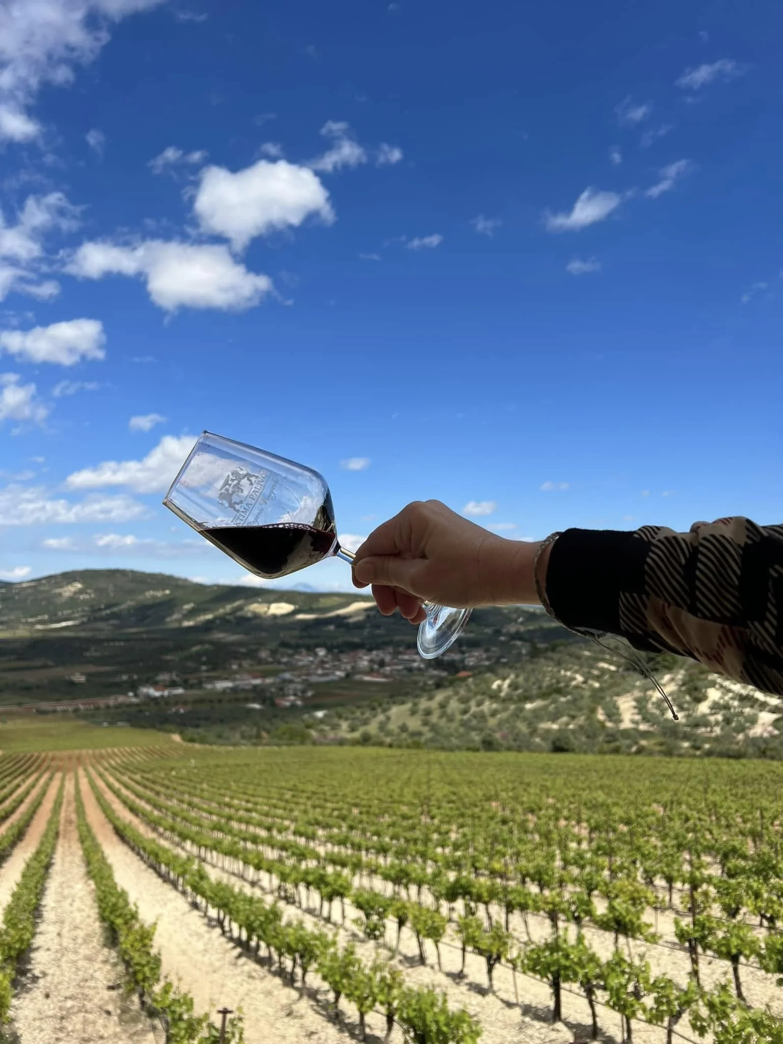 Hand holding a glass of red wine overlooking a lush, sun-drenched vineyard under a blue sky