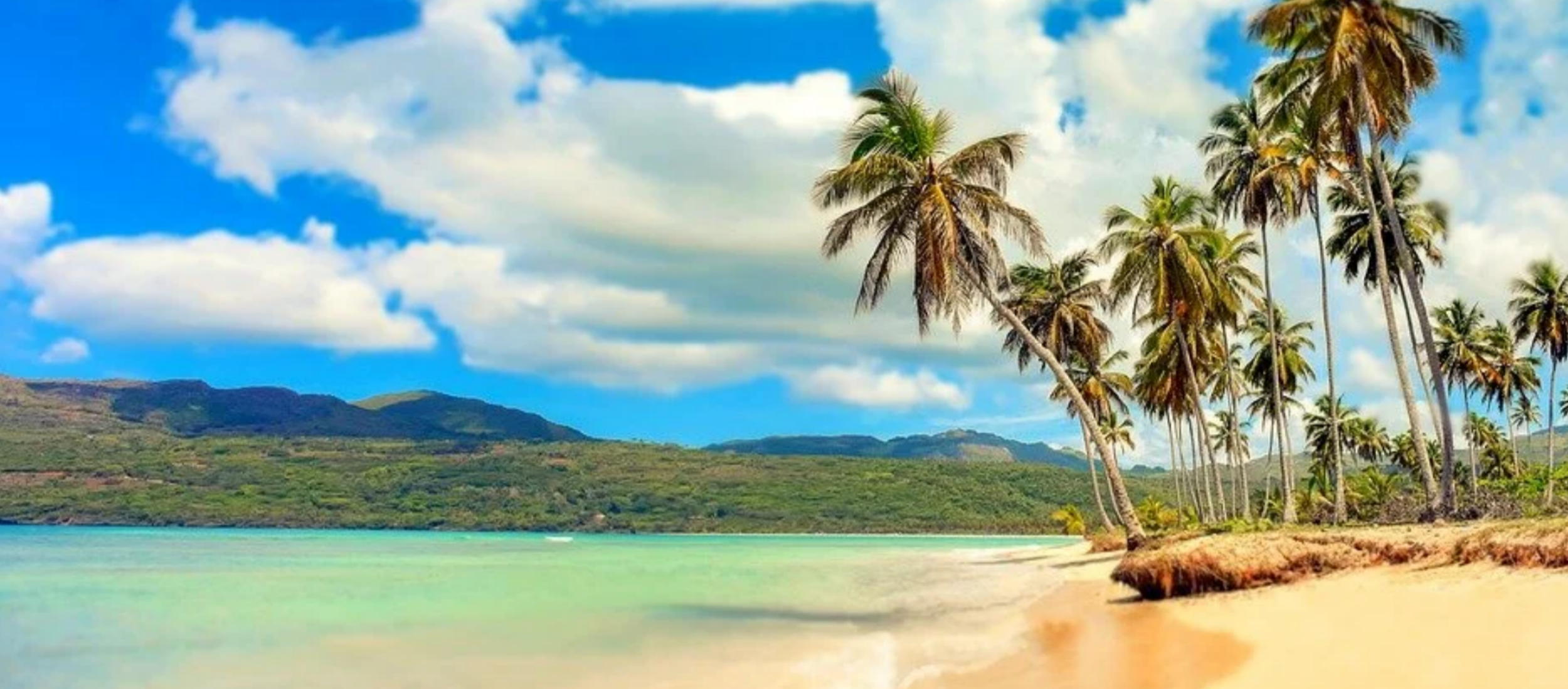 A long stretch of golden sand beach lined with tall leaning palm trees leading to clear turquoise ocean water and green mountains in the Dominican Republic.