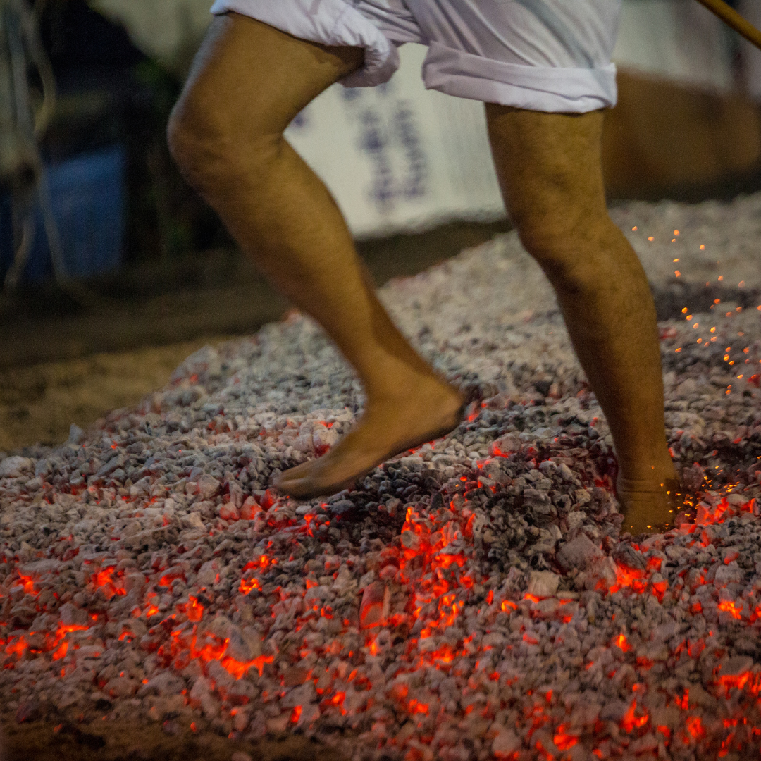 Close-up of bare feet stepping across a bed of smoking, glowing red-hot coals during a traditional firewalking ceremony.