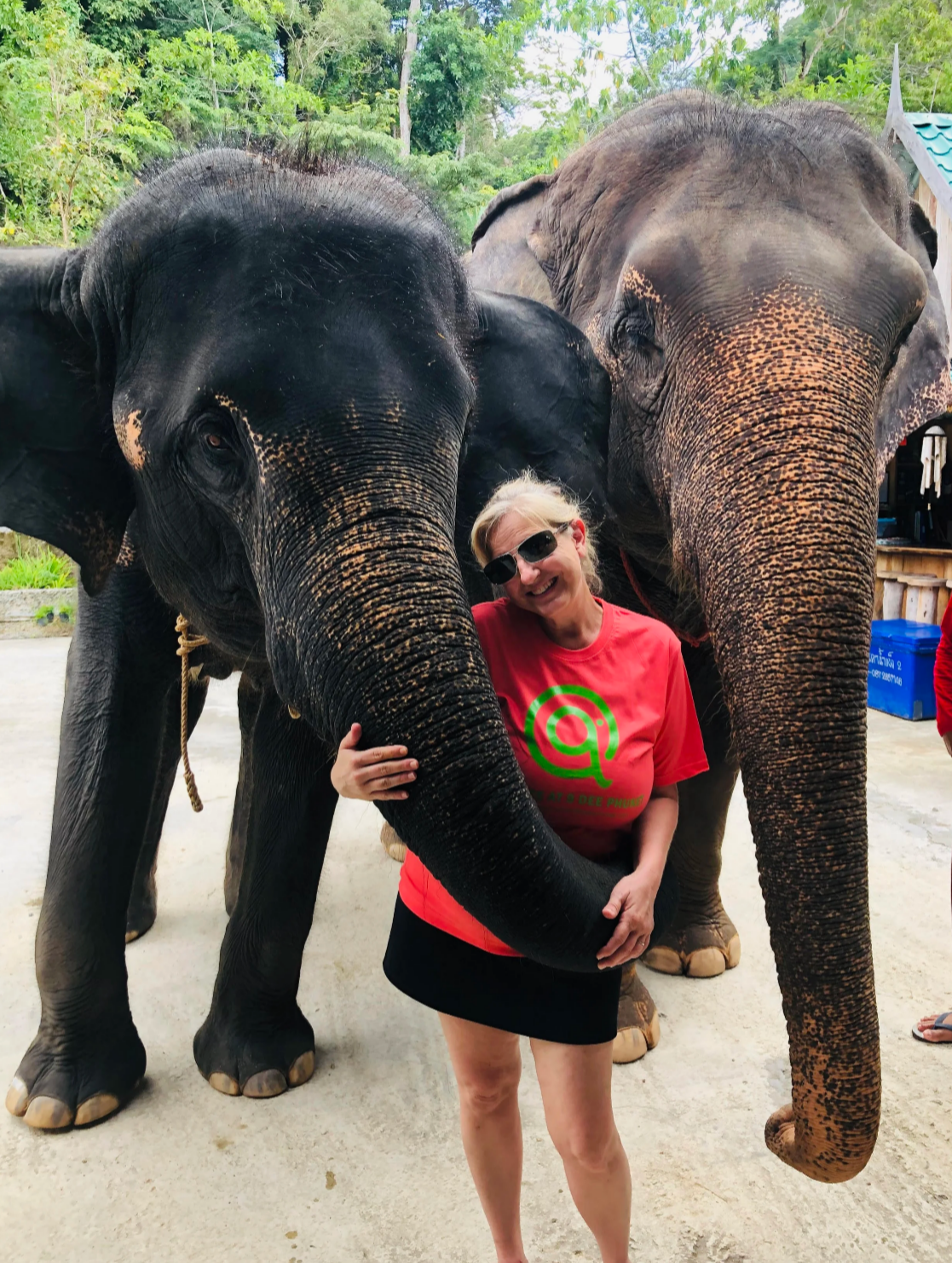 Jeanine Cioffi with elephants in Thailand – Lavishly Travel