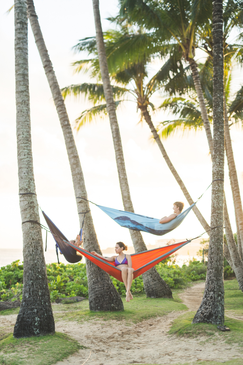 People lounging in colorful fabric hammocks tied between tall leaning palm trees in a tropical park near the ocean.
