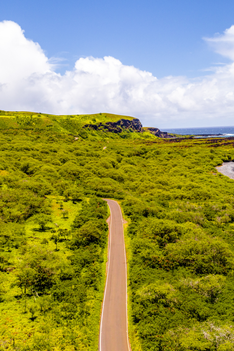 A narrow two-lane paved road curving through dense, vibrant green foliage and coastal hills along the Road to Hana in Maui, Hawaii.