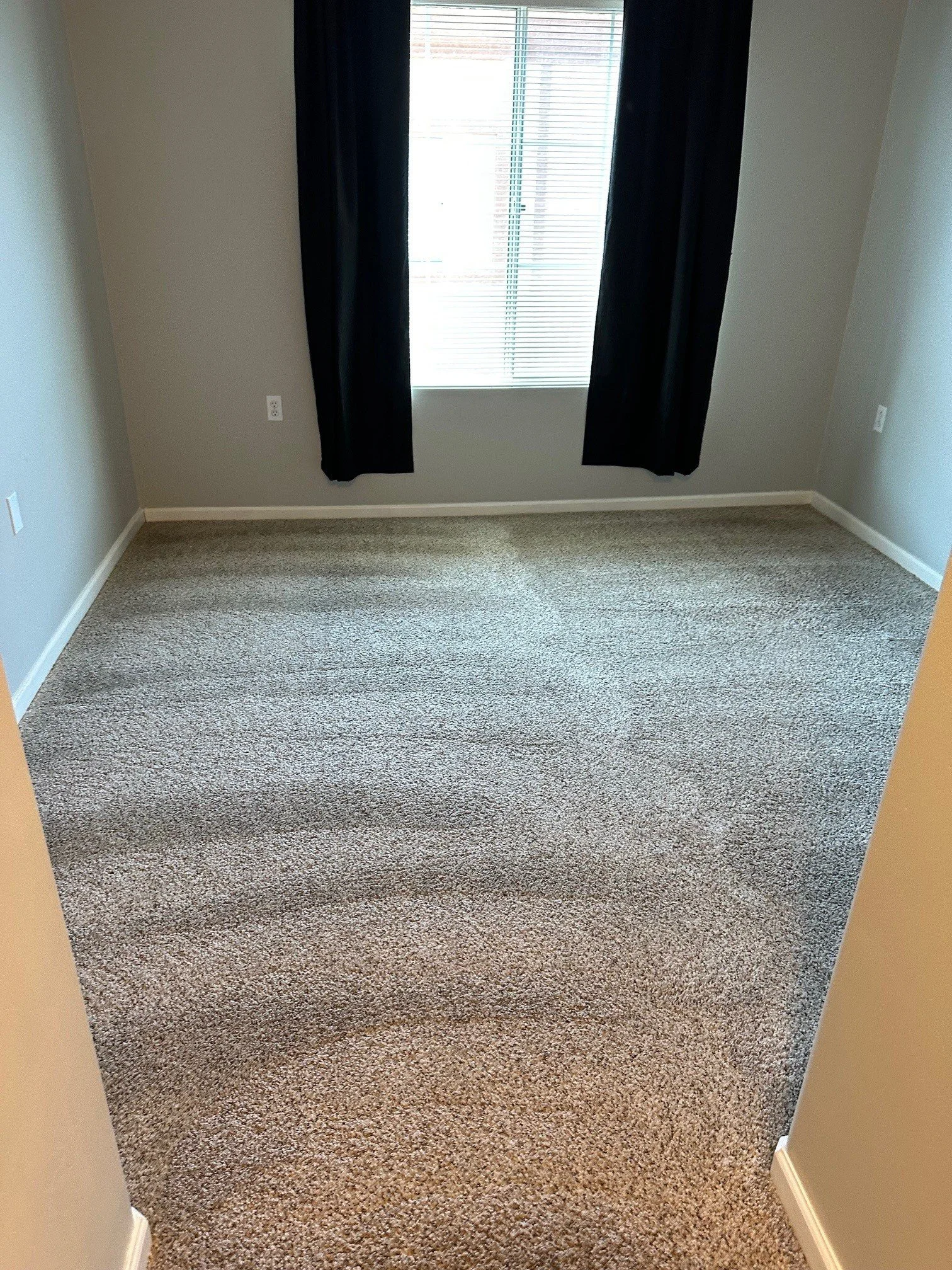 Valdez Carpet.jpg