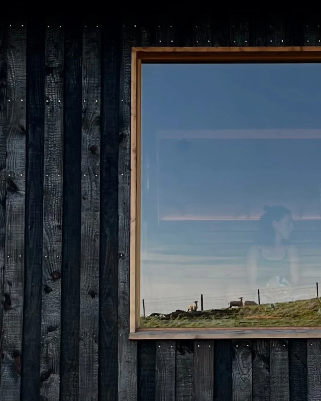 January feels different this year.

People are tired of forcing momentum for the sake of it, and more interested in listening. To their bodies, nervous systems, and the lives we are actually living. 

Priorities are becoming quieter, but truer.
Inten