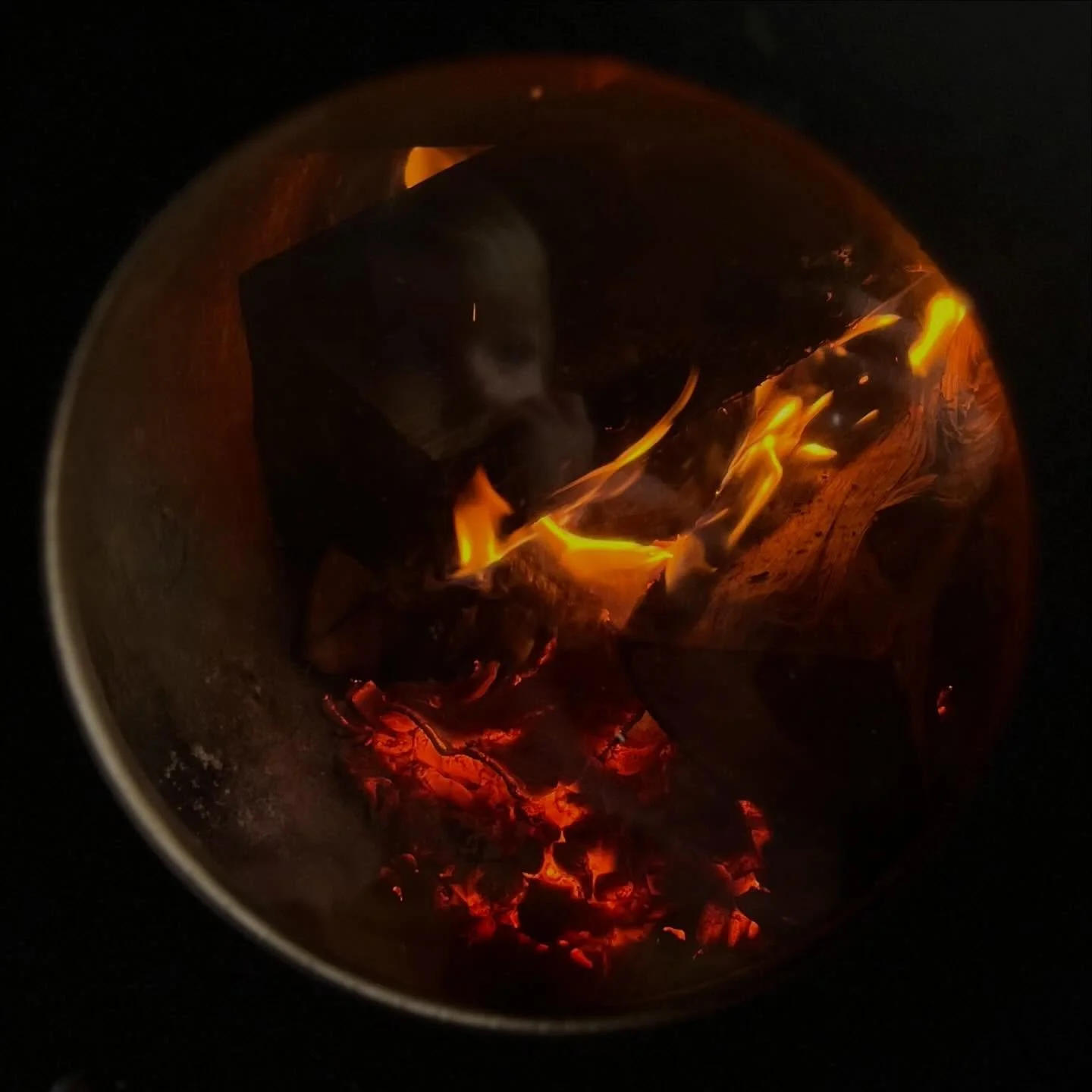 Meet ARLO

The youngest member of the Spring + Sauna crew 🤙
You&rsquo;ll find him at the sauna come rain or shine. A lover of the outdoors, a pro at scrunching paper for the fire, and takes his l&ouml;yly duties seriously, when it comes to filling u